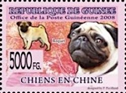 Pug