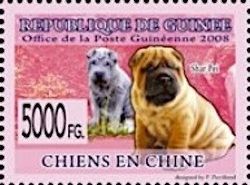 Shar-Pei
