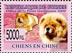 Chow Chow