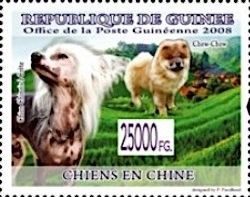 Chow Chow and Chinese Crested