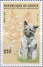Elkhound