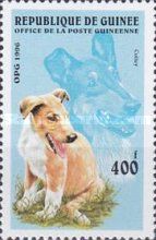 Collie