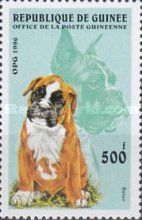 Boxer