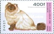 Himalayan