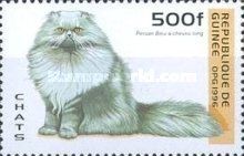 Blue Persian