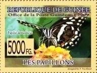 Citrus Swallowtail (Papilio demodocus)