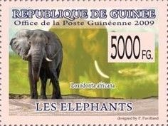 Loxodonta africana