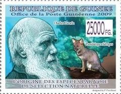 Charles Darwin, Darwin's Fox (Pseudalopex fulvipes)