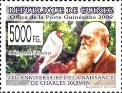 200th Anniversary of Charles Darwin III