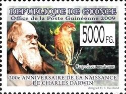 200th Anniversary of Charles Darwin III