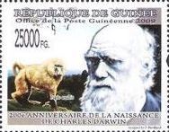 Charles Darwin – Olive Baboon (Papio anubis)