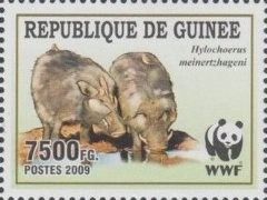 Giant Forest Hog (Hylochoerus meinertzhageni)