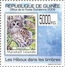 Barred Owl (Strix varia)