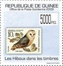 Barn Owl (Tyto alba)