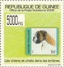 German Boxer (Canis lupus familiaris)