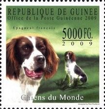 French Spaniel