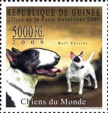 Bull Terrier