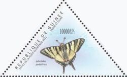 Iphiclides podalirius