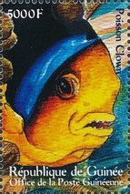 Amphiprion ocellaris