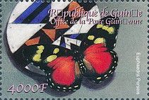 Perseis Mimic Forester (Euphaedra perseis)