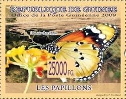 Danaus chrysippus