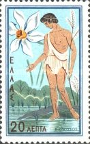 "Narcissus" (flower/mythological person)