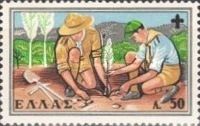 Scounts planting trees