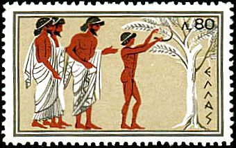Rome 1960 - Wild olive branches
