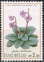 Nature Conservation Year - Jankaea heldreichii