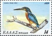 Common Kingfisher (Alcedo athis)