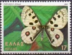 Apollo (Parnassius apollo)