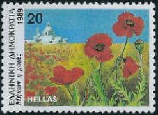 Papaver rhoeas (common poppy)