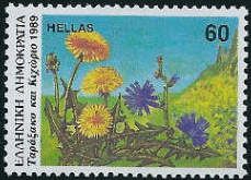 Common Chicory and Dandelion
