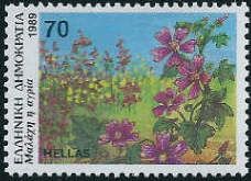 common mallow (Malva sylvestris)