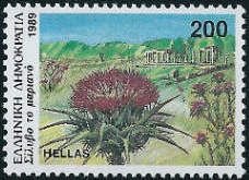 Marian thistle (Silybum marianum)