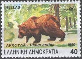 Brown Bear (Ursus arctos)