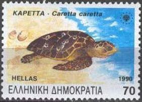 Loggerhead (Caretta caretta)