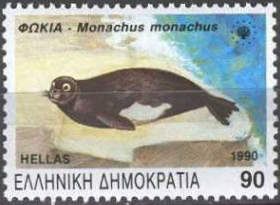 Mediterranean Monk Seal (Monachus monachus)