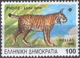 Eurasian Lynx (Lynx lynx)