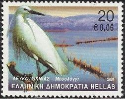 Little Egret (Egretta garzetta)