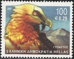 Bearded Vulture (Gypaetus barbatus)