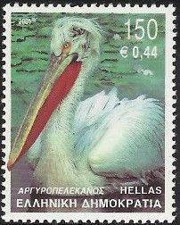 Dalmatian Pelican (Pelecanus crispus)