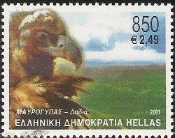 Black Vulture (Aegypius monachus)