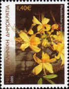 Rhododendron luteum (honeysuckle azalea)