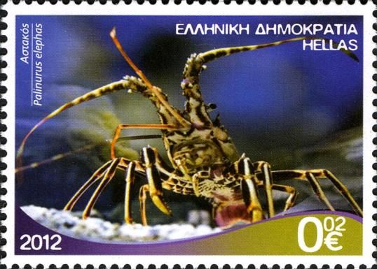 European Spiny Lobster (Palinurus elephas)