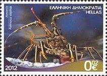 European Spiny Lobster (Palinurus elephas)