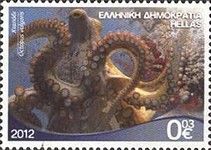 Common Octopus (Octopus vulgaris)