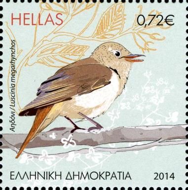 Common Nightingale (Luscinia megarhynchos)