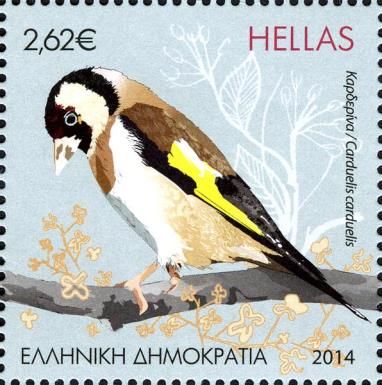 European Goldfinch (Carduelis carduelis)