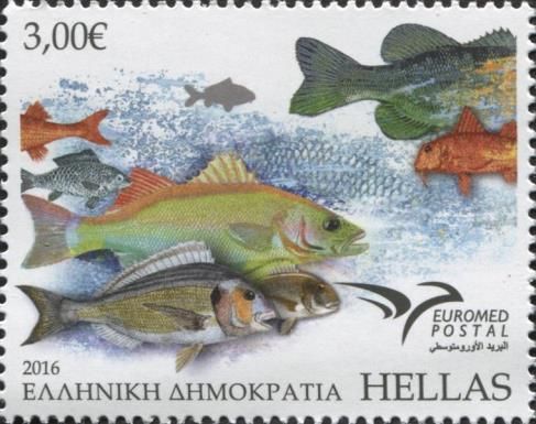 Euromed 2016 - Fish of the Mediterranean
